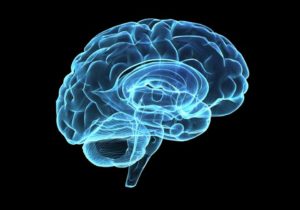 brain-stimulation_650x455