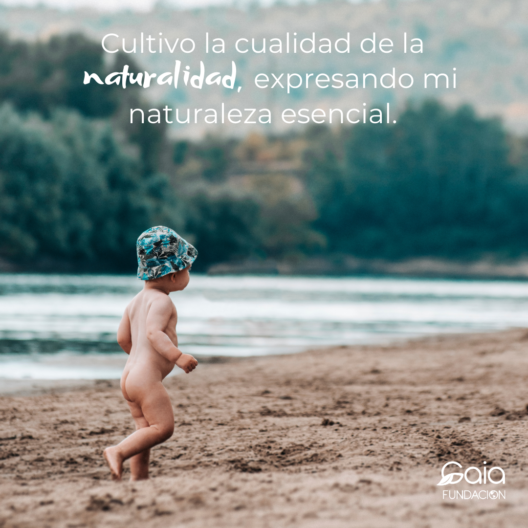 Gaia CR