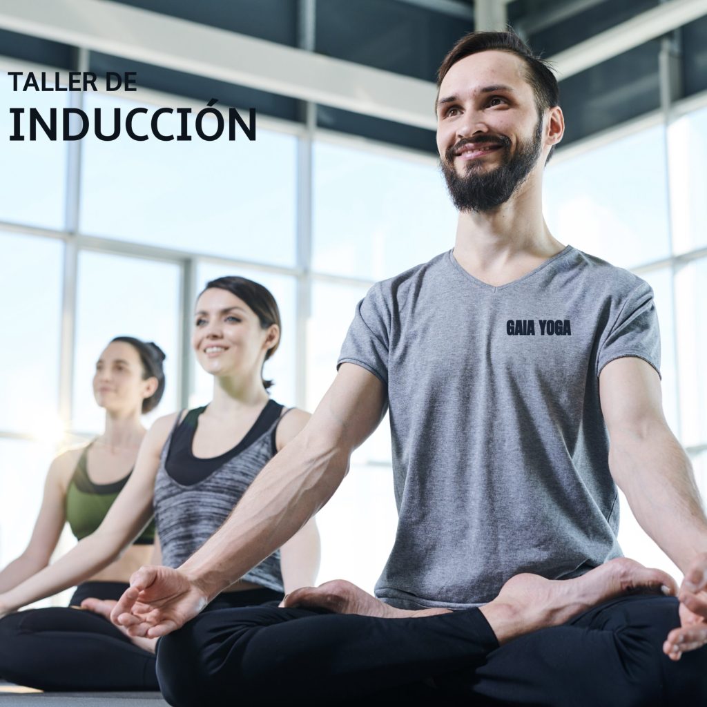 inducción Gaia Yoga 3 2